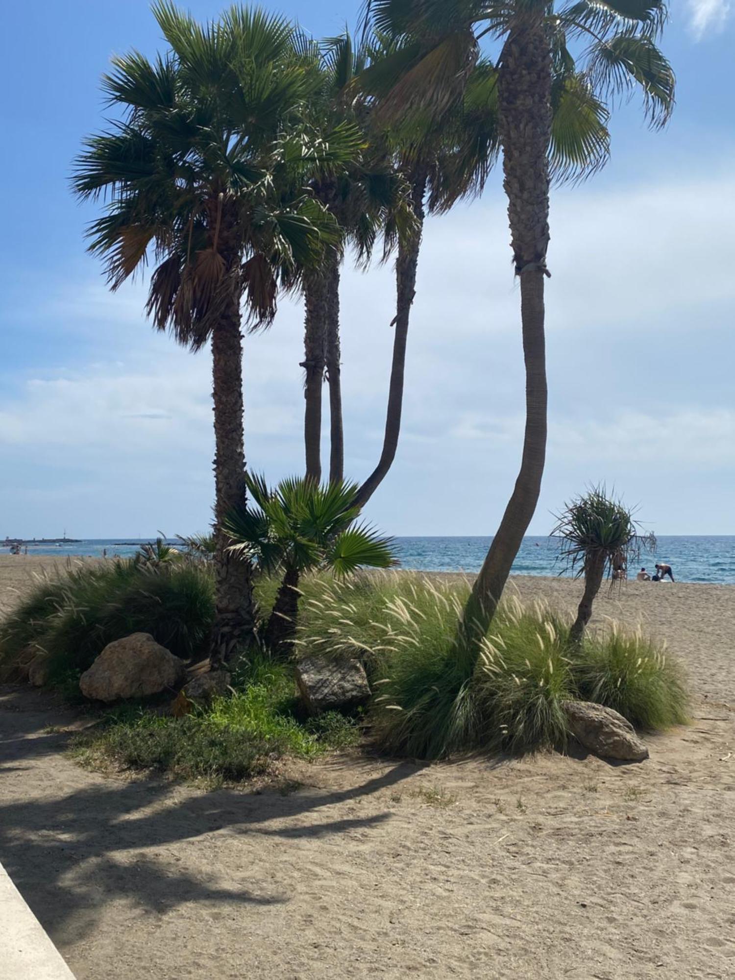 Playa Zapillo Apartment *