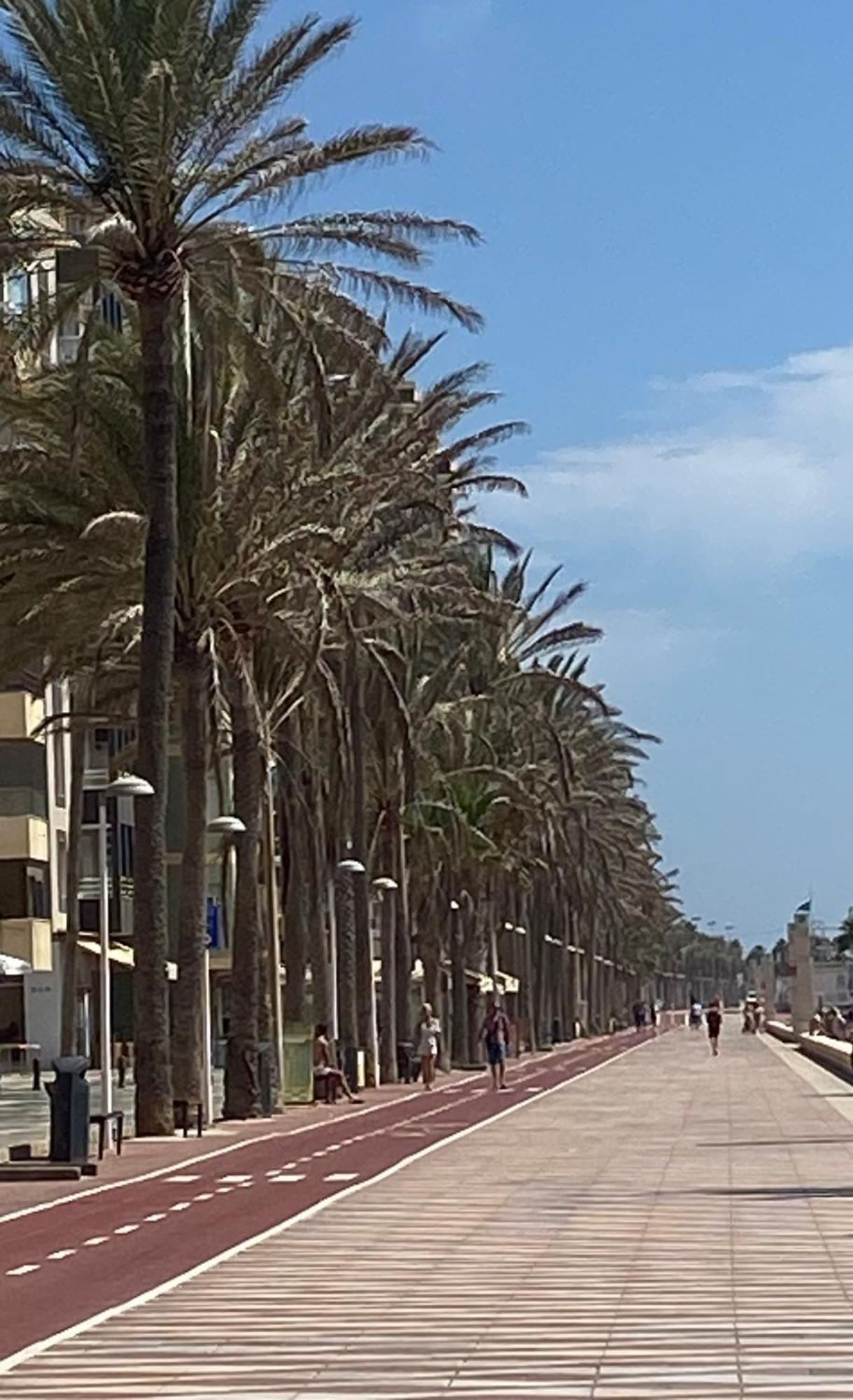 Playa Zapillo Apartment Almeria